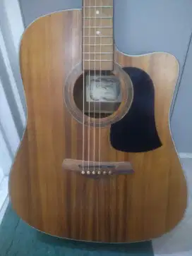 Gitar akustik elektrik