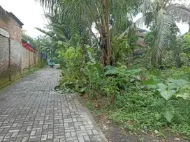 JUAL TANAH DEKAT CANDI BOROBUDUR