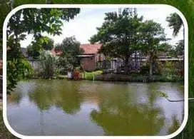 DIJUAL MURAH LELANG Tanah luas bagus di Kota Bekasi, Jl Rumbia