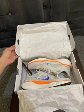 Dijual Sepatu Nike Pegasus 41 Original Store NIKE
