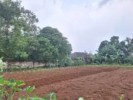 Penawaran Menarik Kavling Permata Depok City Lokasi Strategis