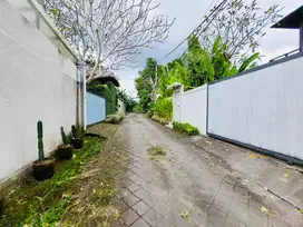 Tanah Tumbak bayuh Canggu Badung