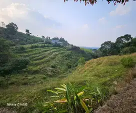 Dijual Cepat! Tanah Lokasi di Cijeruk Kab. Bogor