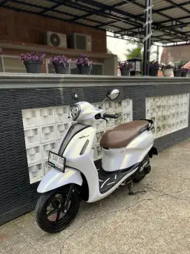 GRAND Fulano Lux 2023 Tipe tertinggi secon Rasa baru!