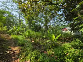 Dijual Tanah Lokasi Kedungpane Ngaliyan Semarang