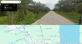 Jual Cepat Perkebunan Kelapa Sawit Sudah Menghasilkan dan Panen