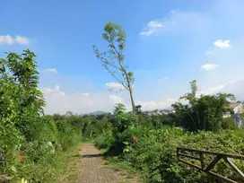 Tanah Murah Strategis Kota Malang Harga 150 Jutaan