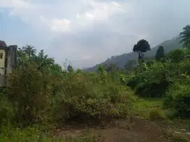 Tanah Kavling Di Bogor Cijeruk Legalitas SHM – Harga Terjangkau