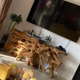Meja  jati  akar ori