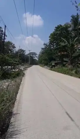 Dijual Tanah Murah di Jaln Raya Rumpin