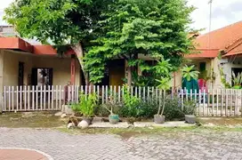 Dijual Rumah Lokasi Tengah Kota di Jl. Pleburan Semarang