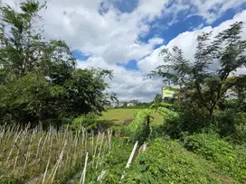Investasi Aman! Kavling Prospektif Lokasi Emas