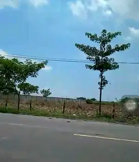 DIJUAL TANAH NASIONAL MRUTUK UTARA WIDANG TUBAN RON.A2092