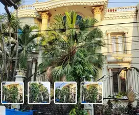 Rumah Murah Dua Lantai di Margodadi - Surabaya