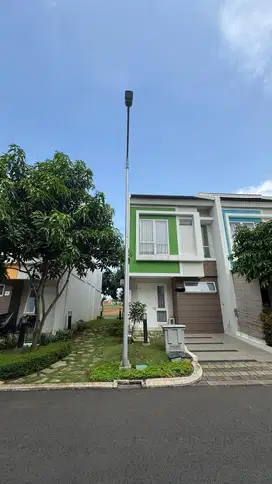 TERMURAH Martinez Hook Gading Serpong SHM