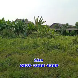 Dijual Paling murah 2000m SURAT AJB Harga 7 juta NEgo Keras!