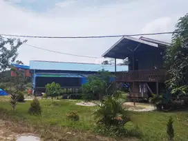Kandang Ayam broiler Semi Closed House