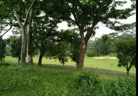 DIJUAL TANAH TAMAN DAYU SENJA SENTOSA LESTARI PASURUAN RON.A2119