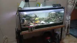 Aquarium aquascape full set