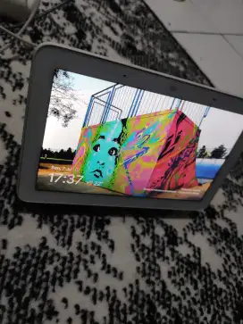 Google nest 1 (google asisten)