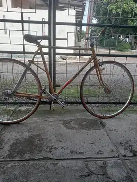 Peugeot Cycles Magnum Cargo with customized FENDT shaft-drive