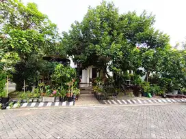 Dijual Rumah Asri, Hook Di Perumahan Tlogomas, Lowokwaru Malang