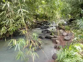 Dijual tanah kebun los sungai berbatu dengan suasana tenang