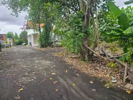 TANAH PLOT KECIL DI CANGGU KAYU TULANG SELATAN