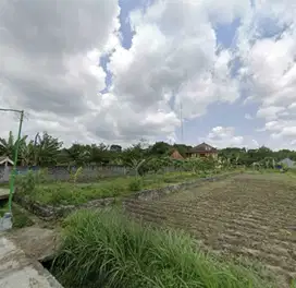 Tanah Murah Cocok Untuk Villa Dan Homestay Lokasi Palagan Dekat Hyatt