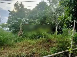 TANAH/LAHAN PINGGIR JALAN POROS MT HARYONO BELAKANG DENSO