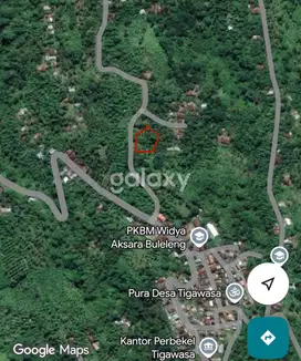 DIJUAL TANAH MURAH 4 ARE DI LOVINA