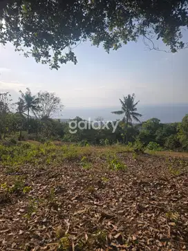 Dijual Tanah 20 are di Lovina, Buleleng