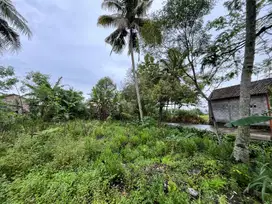 Dijual Tanah Area Palagan Lokasi Tepi Jalan Aspal