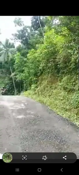 DIJUAL MURAH TANAH 95jt DEKAT YIA KULONPROGO