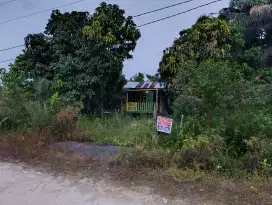 Dijual Tanah Kebun