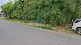 Jual Tanah di Jalan Raya Pemuda, Gunung Sindur, Bogor - Jawa Barat