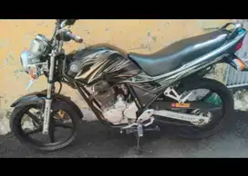 Scorpio Z mulus