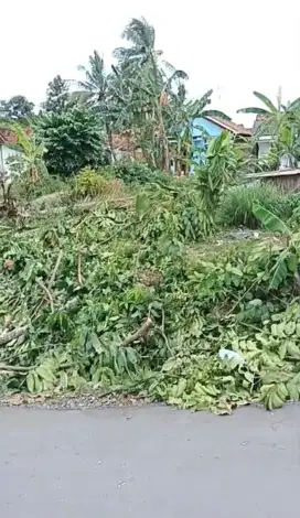 Di jual tanah SHM NEGO