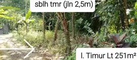 Tanah Darat 2 bidang SHM l. Timur Lt 251 ll. Barat Lt 437 dilalui Truk
