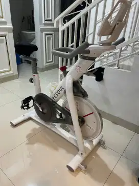 Yesoul S3 Spinning Bike