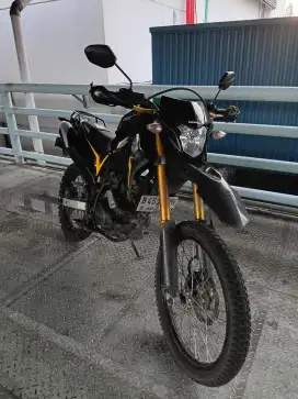 Honda Crf 150 2018
