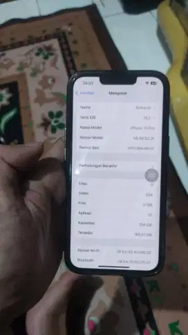 iphone 13 pro 256gb