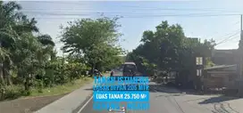 JUAL Tanah Pekarangan LD 205 mtr, NOL Jl Raya Propinsi NGAWI, Bagus