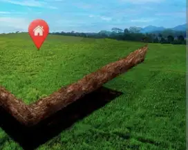 TANAH MURAH WOODLAND CITRALAND