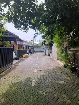 Rumah Sewa  Kontrak  Tembalang  Undip