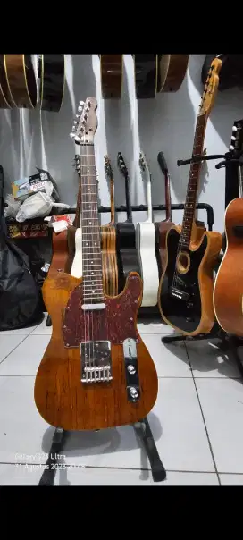 Fender Telecaster brown