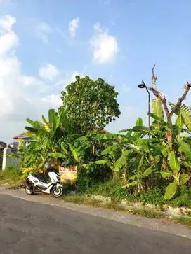 Tanah Pekarangan Strategis dekat Jalan Raya Jogja Solo