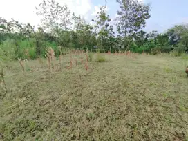 Tanah cocok buat kavling perumahan di Semanu Wonosari