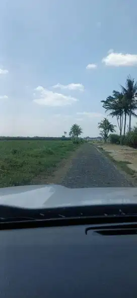 Dijual Cepat Tanah Perkebunan di Jatisari Malang
