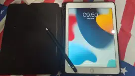 iPad Air 2 (32 Gb)